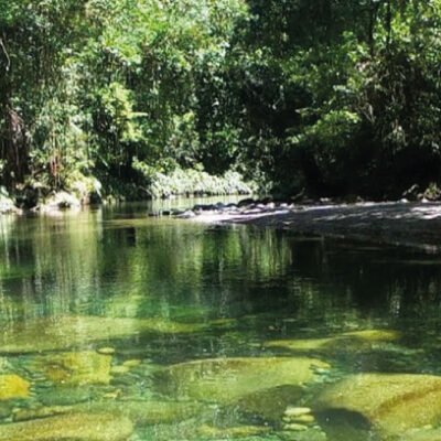Cocorná