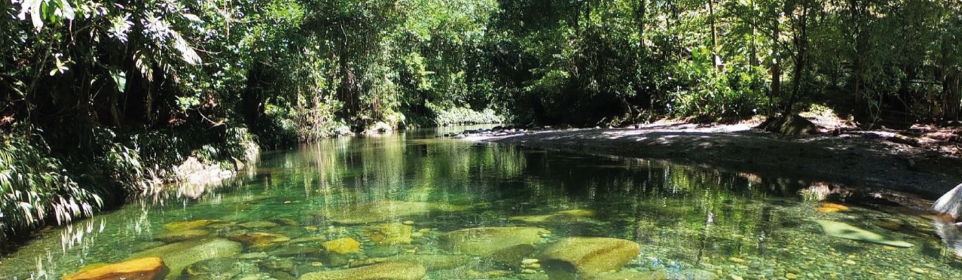 Cocorná
