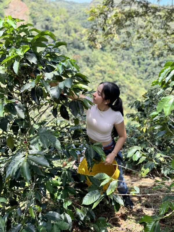 Tour del cafe en Guatape