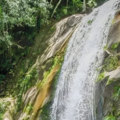 San Carlos