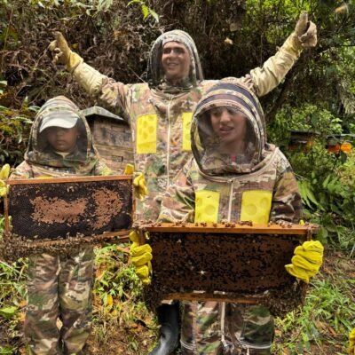 Alternative view of APICULTOR POR UN DÍA En San Rafael: Extrae la miel fresca de las abejas con tus propias manos
