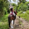 Disfruta de un recorrido a caballo por la hermosas montañas de Guatape