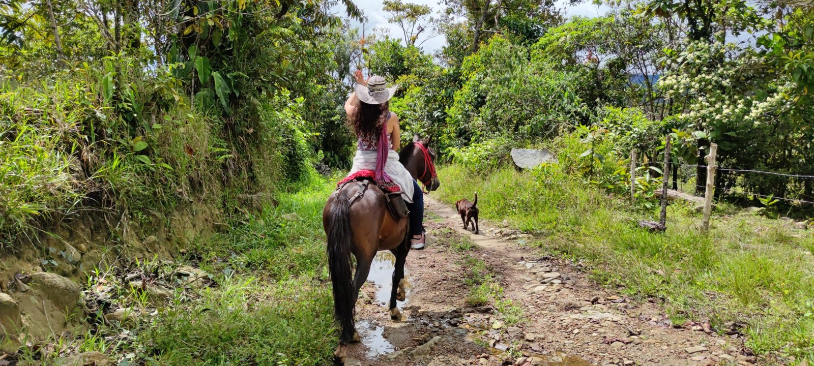 Enjoy a tour on horseback through the beautiful mountains of Guatape